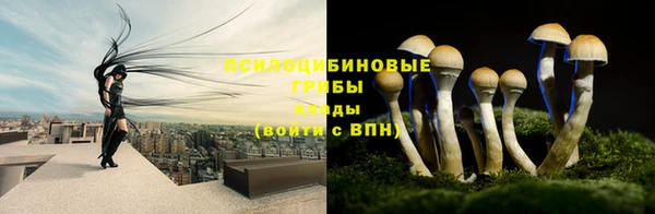 каннабис Надым