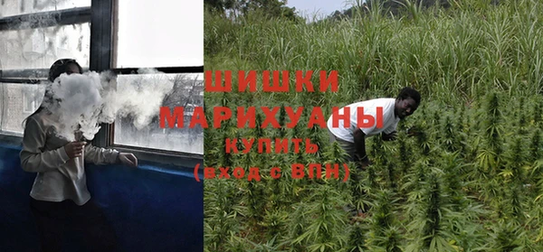 ГАЛЛЮЦИНОГЕННЫЕ ГРИБЫ Михайловск