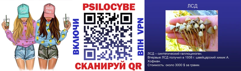 Купить закладки  Златоуст  Галлюциногенные грибы Cubensis 